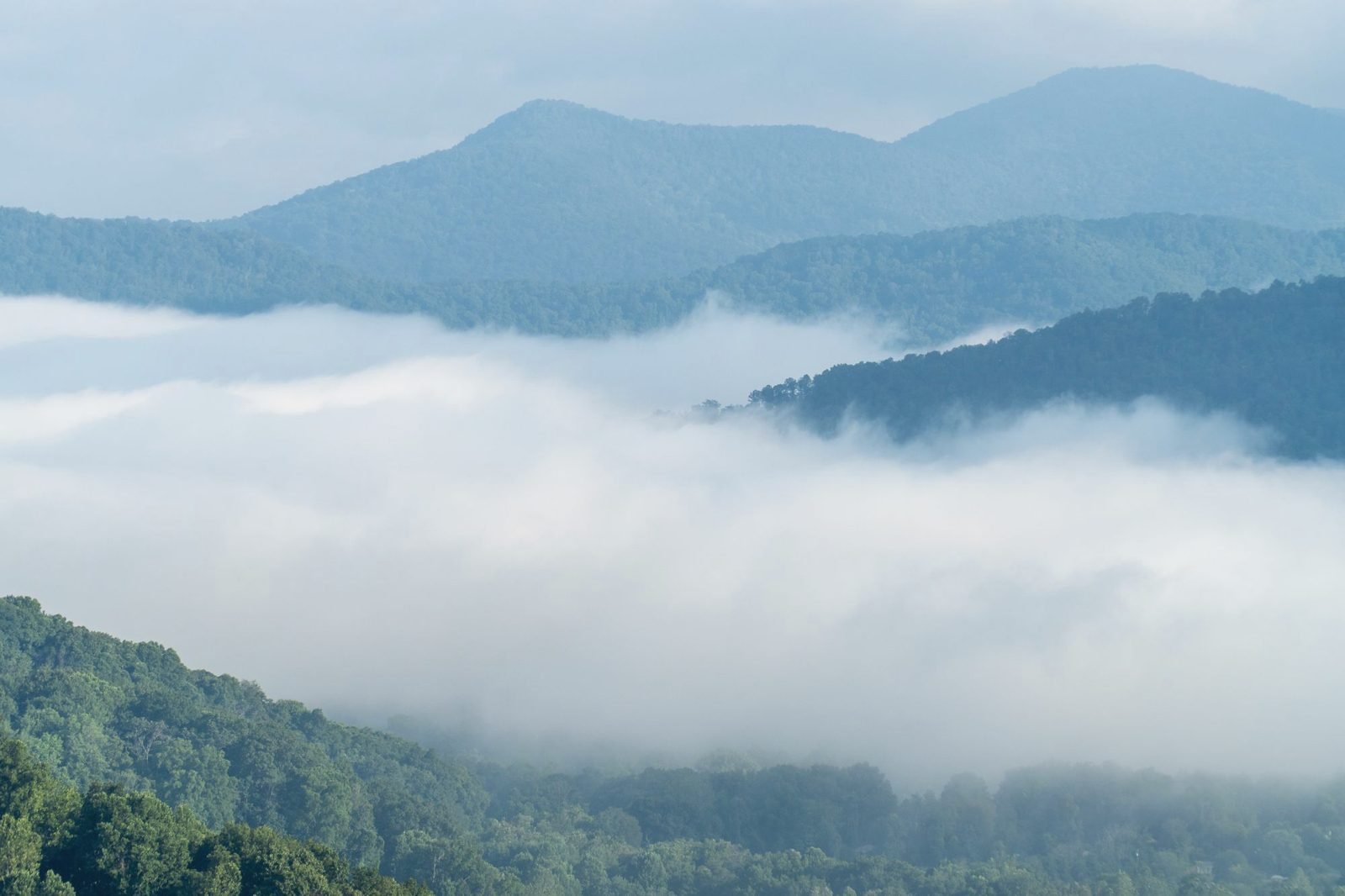Fog lying in the valleys below Blue Ridge mountains